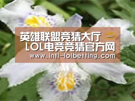 产品名称二