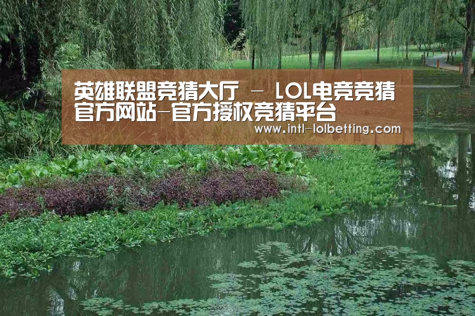 案例展示一