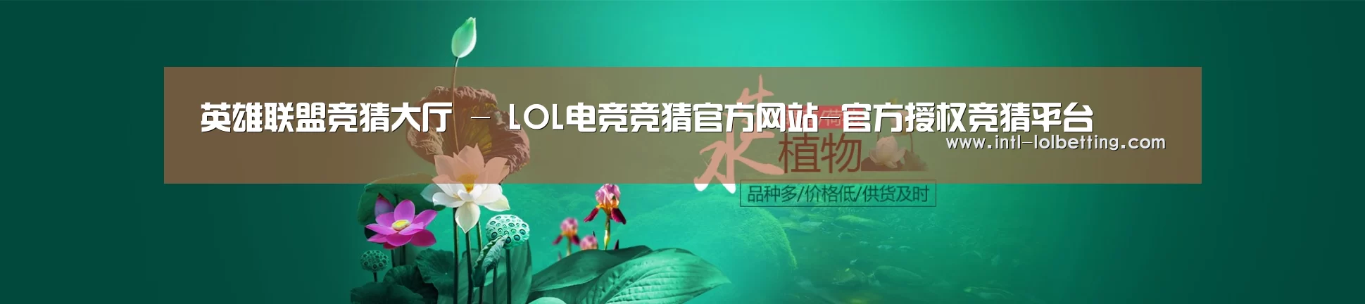 鲜花水草花卉网站模板