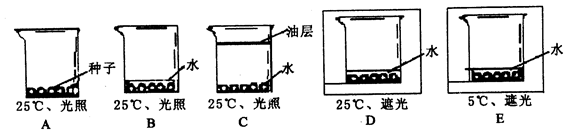 英雄联盟竞猜大厅 