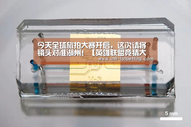  LOL全球总决赛下注官方网站
